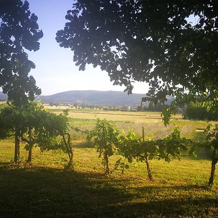 Claudia Vacanza Toscana - Appartamento Melograno -10 Min Da Siena Sovicille Exterior foto