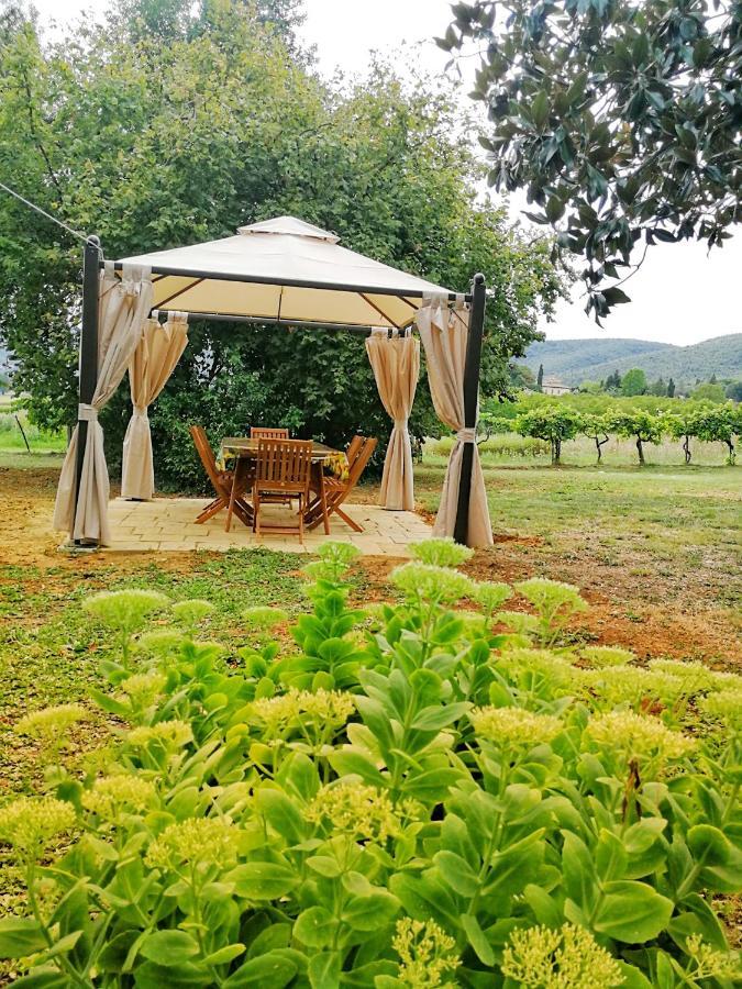 Claudia Vacanza Toscana - Appartamento Melograno -10 Min Da Siena Sovicille Zimmer foto