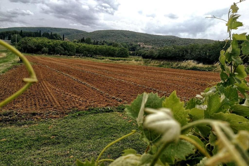 Claudia Vacanza Toscana - Appartamento Melograno -10 Min Da Siena Sovicille Exterior foto