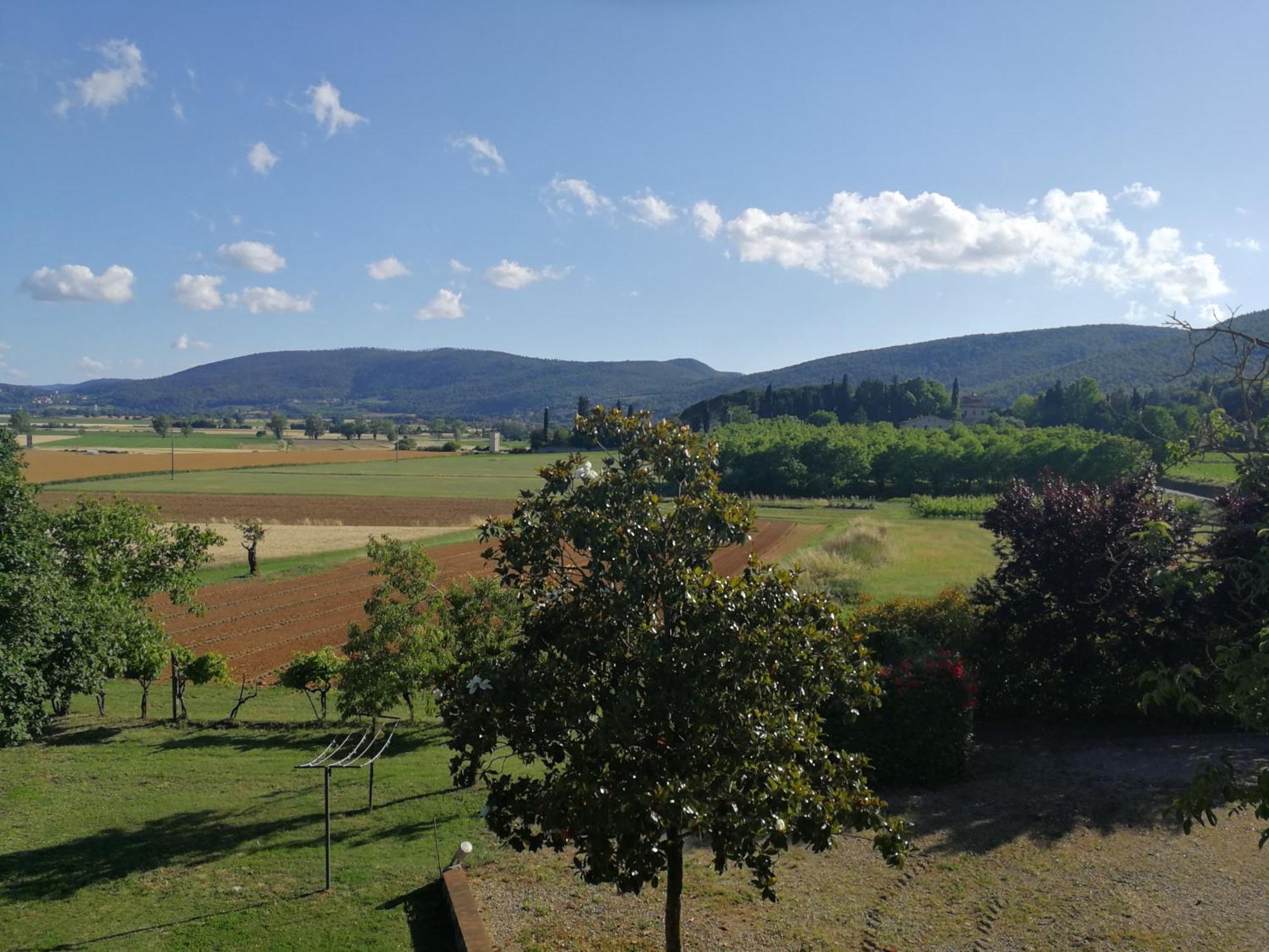 Claudia Vacanza Toscana - Appartamento Melograno -10 Min Da Siena Sovicille Zimmer foto